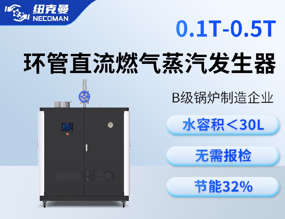 0.1噸-0.5噸 燃?xì)馊加驼羝l(fā)生器